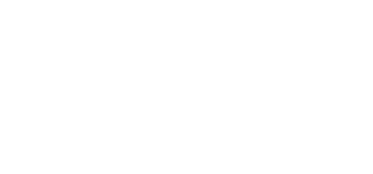 Team Architects